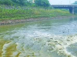 永宁区污水清运多少钱